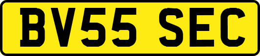 BV55SEC