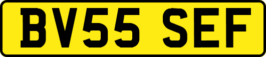 BV55SEF
