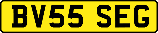 BV55SEG
