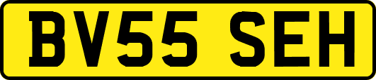 BV55SEH