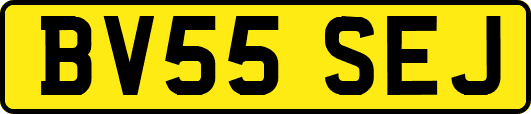BV55SEJ