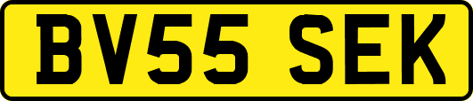 BV55SEK
