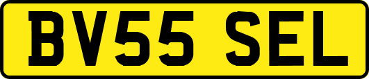 BV55SEL