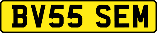 BV55SEM