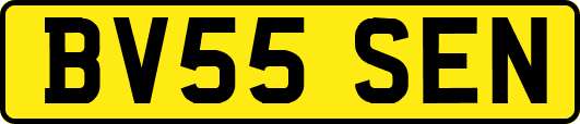 BV55SEN