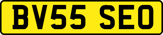 BV55SEO