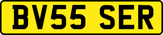 BV55SER
