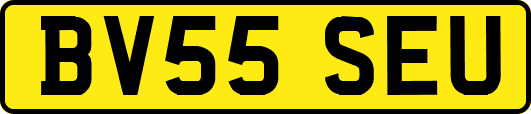 BV55SEU