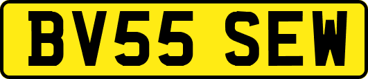 BV55SEW