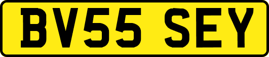 BV55SEY