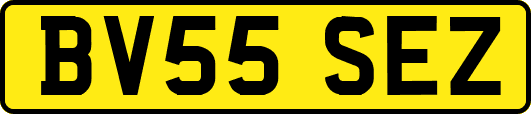 BV55SEZ