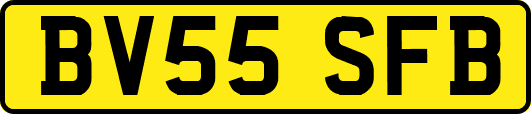 BV55SFB