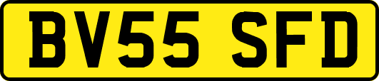 BV55SFD