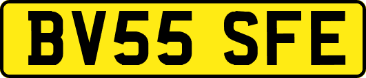 BV55SFE