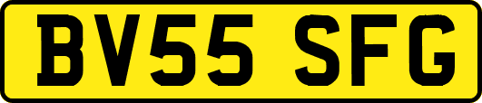 BV55SFG