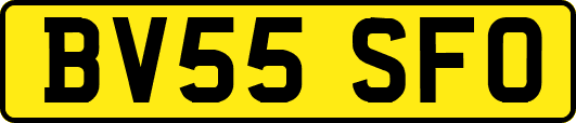 BV55SFO