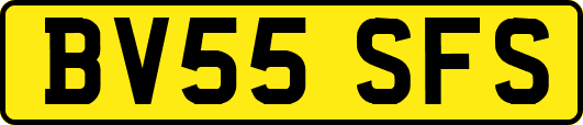 BV55SFS