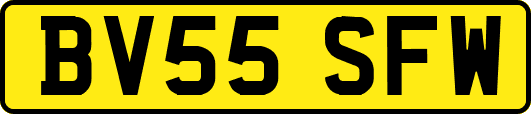 BV55SFW