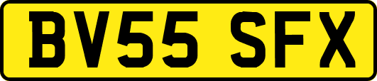 BV55SFX