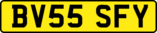BV55SFY
