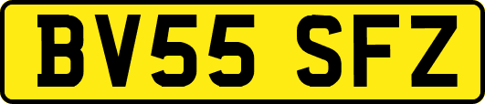 BV55SFZ