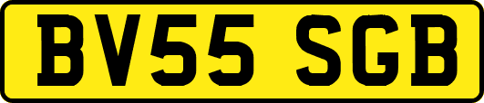 BV55SGB