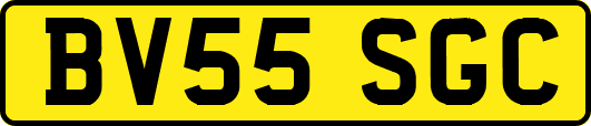 BV55SGC