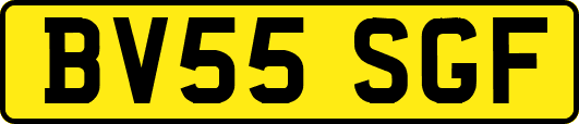 BV55SGF