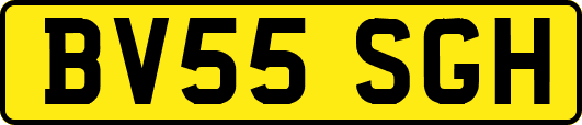 BV55SGH