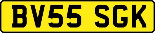 BV55SGK