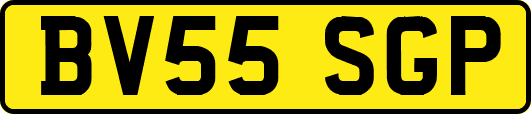 BV55SGP