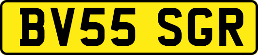 BV55SGR