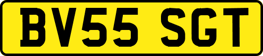 BV55SGT