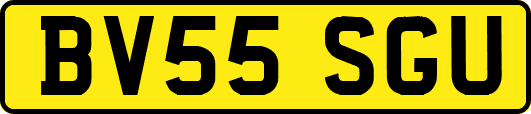 BV55SGU