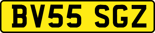 BV55SGZ