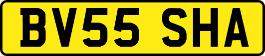 BV55SHA