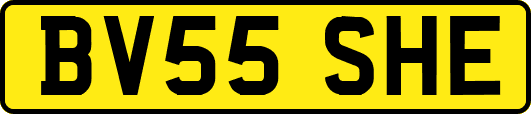 BV55SHE