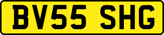 BV55SHG