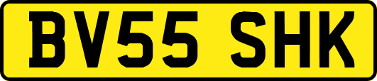 BV55SHK
