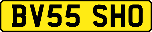 BV55SHO