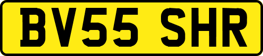BV55SHR