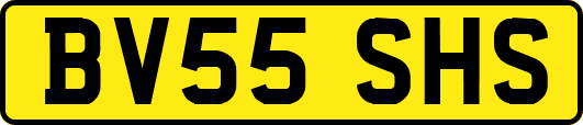 BV55SHS