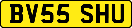 BV55SHU