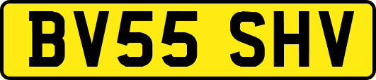 BV55SHV