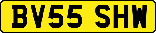 BV55SHW