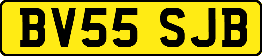 BV55SJB