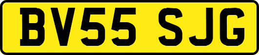 BV55SJG