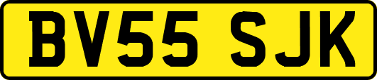 BV55SJK