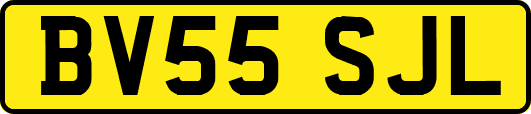BV55SJL