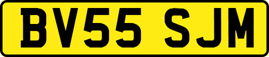 BV55SJM